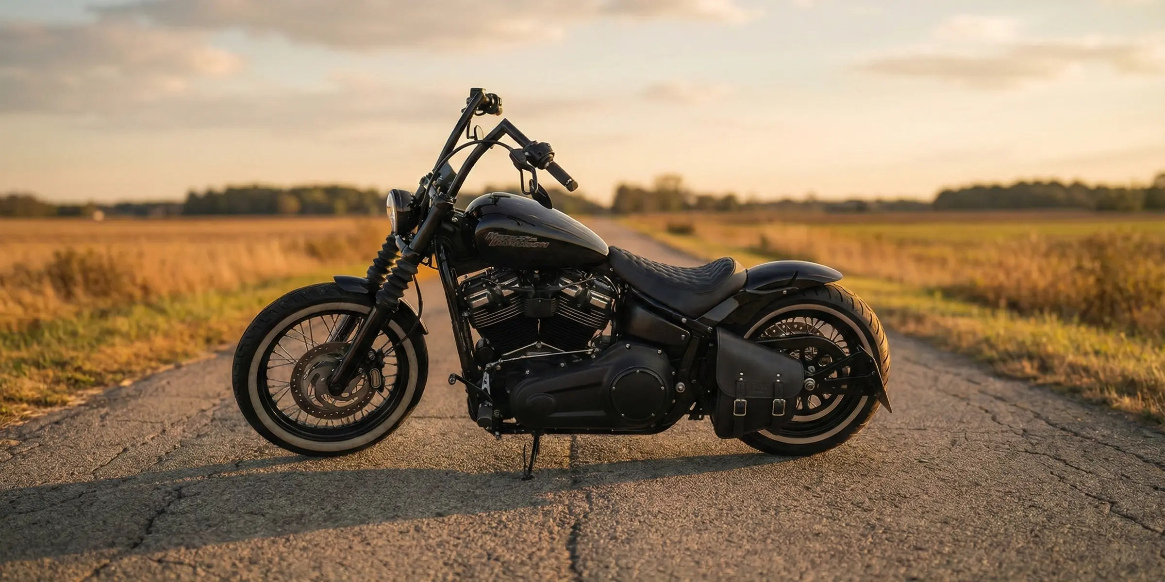 Harley Softail motorcycle with custom leather saddlebag SHL01 by BAD&G CUSTOMS